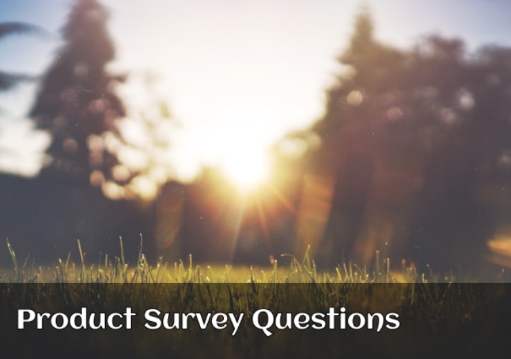 14 Product Survey Questions and Best Practices